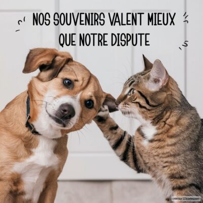 Image d'un chien et d'un chat se réconciliant, avec le texte Nos souvenirs valent mieux que notre dispute en haut.