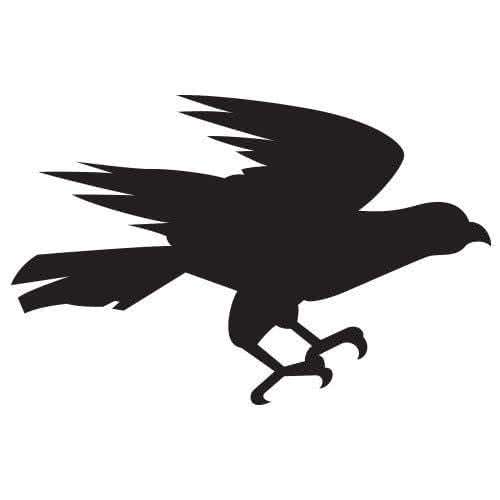 Silhouette aigle