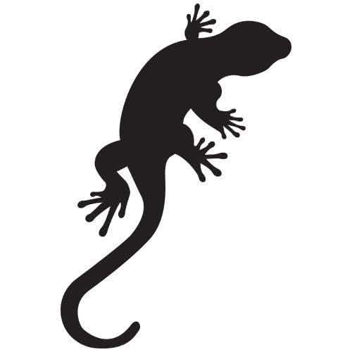 Silhouette lézard