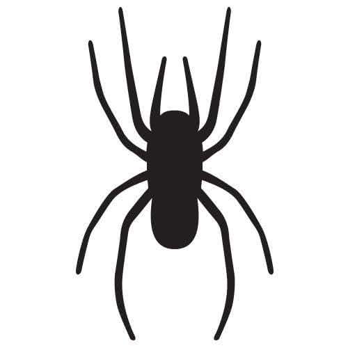 Silhouette araignée
