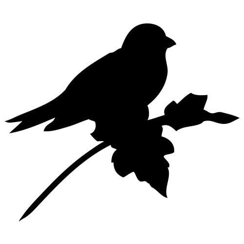 Silhouette oiseau sur branche