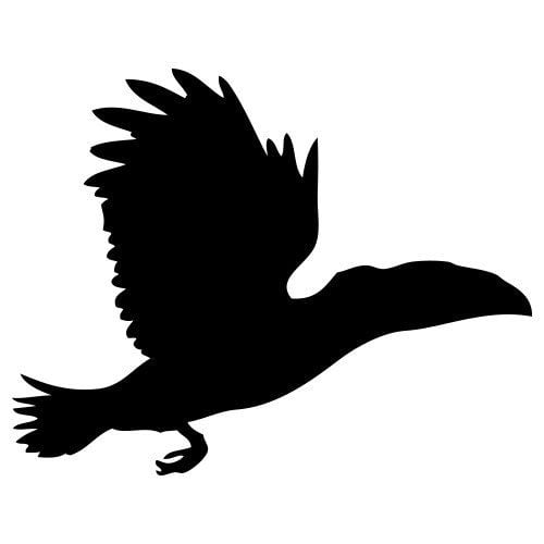 Silhouette oiseau en vol avec des ailes déployées