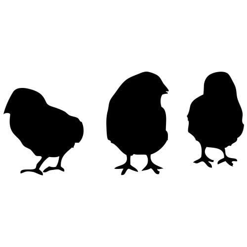 Silhouette poussins