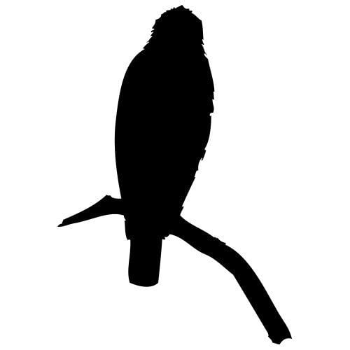 Silhouette oiseau de face sur une branche