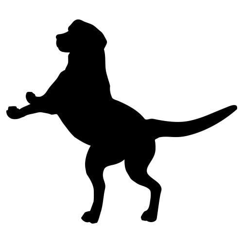 Silhouette chien sur ces 2 pattes