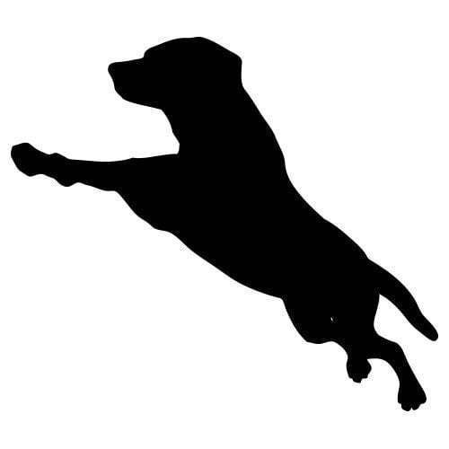 Silhouette chien qui saute