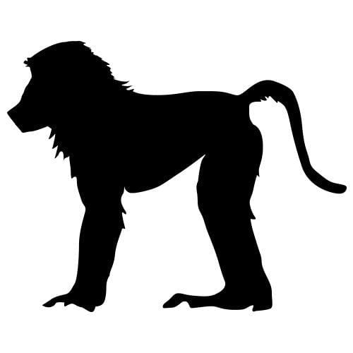 Silhouette singe